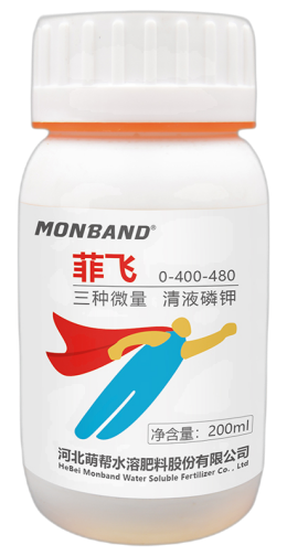 菲飛.png